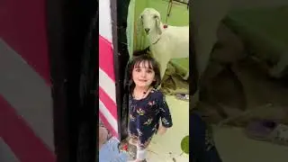 Tiyu ne pehle bar dekha bakra🐐🤣 #shadab5star #funny #youtube #cute #fun #vlog #goat 