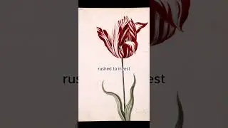 The history Tulip Bubble finance