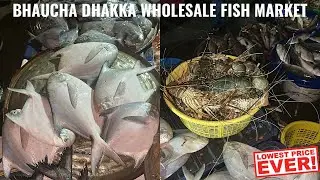 Colaba Fish Market Mumbai | Bhaucha Dhakka Fish Market Latest Video | Fish Market Wholesale Mumbai
