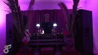 Pelican Villa - Inflight Series - Mad Lucas 2022