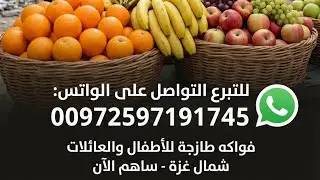 بدأت قناة 