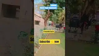 Bharat Nagar dispensary #bollywood #song #hindisong #music #lifeisbutadream #shorts #ternding