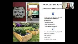 Testing Soils for Heavy Metals and Developing Effective Remediation Strategies
