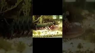 Wow this how  I can&rsquo;t Explain it !! Just watch it