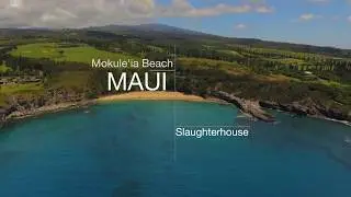 Mokule'ia (Slaughterhouse) Beach Maui