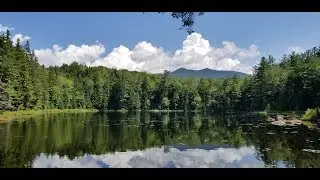 Ночевка на Совиной Голове, на Черном пруду, 27.07.28.2018 &mdash; Медведь!!