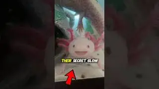 Это просто невероятно мило 🥰