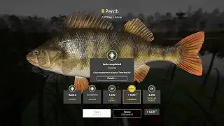 RF4 Catch a trophy Perch using the 