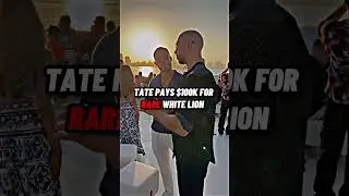 Tate spends $100k for a new exotic pet in Dubai