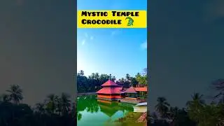 Shri Anantapadmanabha Swamy Temple Kasaragod, Kerala#shorts#shortvideo#hindutemple