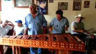 Maestro mariano angel albino corzo 2015 #2