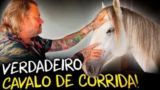 O VERDADEIRO QUARTO DE MILHA: O SEGREDO POR TRÁS DOS CAMPEÕES DE CORRIDA!
