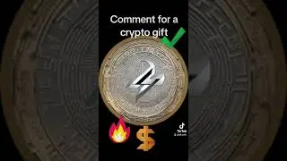 Zik coin is a spark