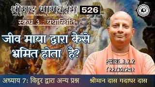 Day 526 | Srimad Bhagavatam | SB 3.7.9 | Das Gadadhar Das | 22-10-24 | #bhagavatam #श्रीमद्भागवत