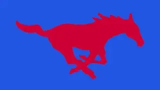 Southern Methodist University 