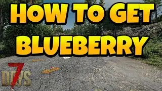 How to Get Blueberry in 7 Days Game