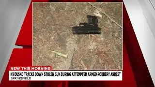 Springfield K9 Police dog tracks down weapon used in attempted armed robbery