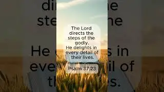 God Has Not Forgotten You &mdash; This Is Your Reminder #bibleshorts #affirmations #faithdome #BibleVerse