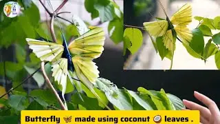 Coconut Leaf butterfly 🦋 Craft 🌴 | Handmade Palm Leaf Art | #amschool #leafcraft #leavesart  #craft