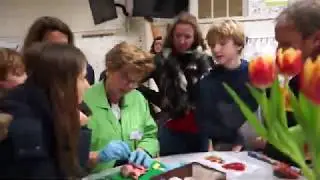 Kennemer Lyceum Open Dag