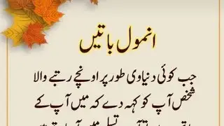 Today Anmol Batain Live Now