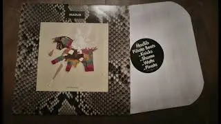 Madlib - Shame (instrumental) Pi&ntilde;ata Beats ( Vinyl to Digital )