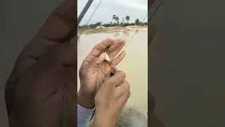 Keeping fishing rod #shorts #rig #fishing