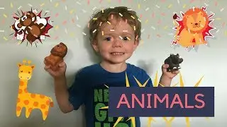 Learn Animals For Toddlers | Zoo Animals | AshtonKTube