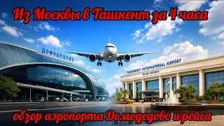 Как улететь из Домодедово в Ташкент — от входа в аэропорт до посадки.