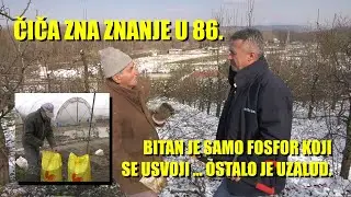 Djubrivo se BACA BEZVEZE za voće i povrće - PELETIRANI STAJNJAK   razne formulacije i BIOSTIMULATORI