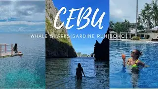 Cebu whale sharks & sardine run | Bohol Hennan resort & bee farm | ube ice cream | Esthercwy