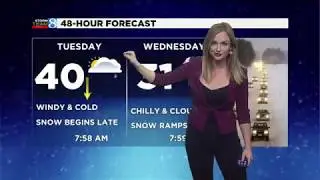 Ellen Bacca Fall 2017 Compilation
