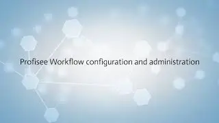 Profisee MDM Platform   - workflow