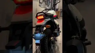 Royal Enfield Scram 440