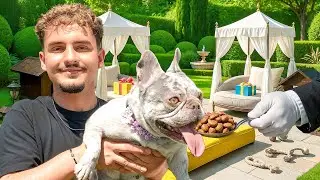 Spoiling My Dog For 24 Hours!!