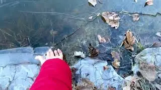 Frozen pond ❄️❄️