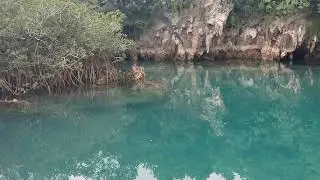 The Blue Hole, Bermuda things to do when waiting to fly with horses!