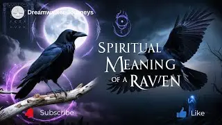 Spiritual Meaning of a Raven | Wisdom, Transformation & Messages from Beyond