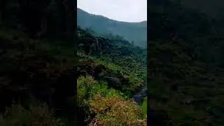 #subtropical #BroadLeaved #evergreen #forest #malakand