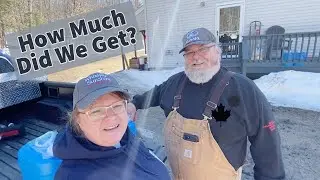 See How Much Sap We Collected! || Checking Our Sap Buckets || #maplesyrup,