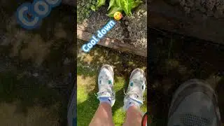 #Sun #Water #Flowers #Jordan #wetsneaker #cooldown #jordan4
