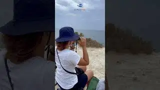 Land Based survey - DelFishPam Project