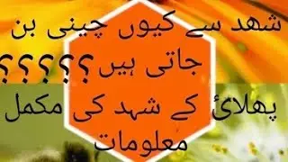 ACCACIA/PHALAI HONEY FOREST IN PAKISTAN | PHALAI HONEY KYUN JAMTA HAI#honey #accaciahoney#trending