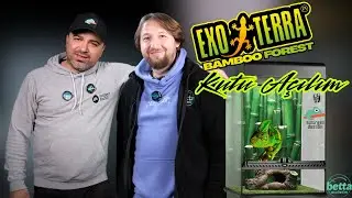 EXOTERRA Bamboo Forest Teraryum Kutu Açılışı ve İnceleme @Sürüngen Dostları | Betta Marketim
