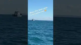 Over load with migrants in small boat crossing channel 😳 #englishchannel #sea #england #stop #ship
