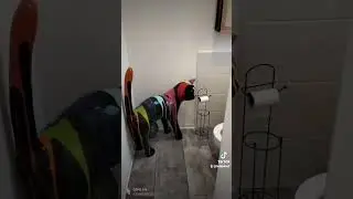 Loft en Champagne. Location &agrave; l'heure ou &agrave; la nuit&eacute;e.
