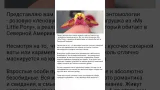 ) #мотивацияивдохновение #история #мудрость #всемназаметку