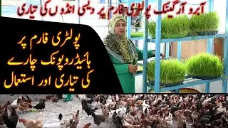 Organic eggs production at Abroo Integrated Farms|Hydroponic fodder production|How to produce eggs