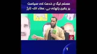 PMLN Politics | Public Welfare | Politics of Service | Attaullah Tarar | APP Exclusive