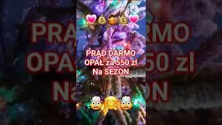 PRĄD DARMO OPAŁ za 550 zł Na SEZON💗💰🤷💰💗 EKONOMIA # 92
